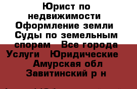 Юрист по недвижимости. Оформление земли. Суды по земельным спорам - Все города Услуги » Юридические   . Амурская обл.,Завитинский р-н